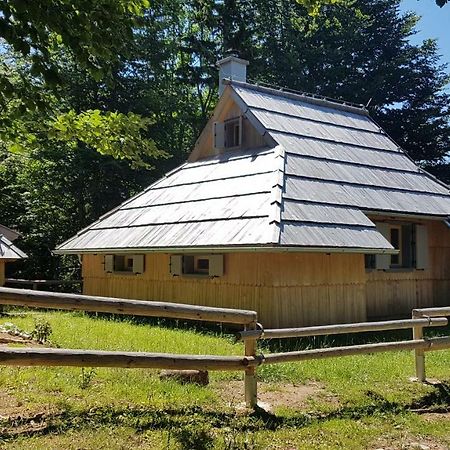 Вілла Koca Predilnica Velika Planina Камнишка Бистриця Екстер'єр фото
