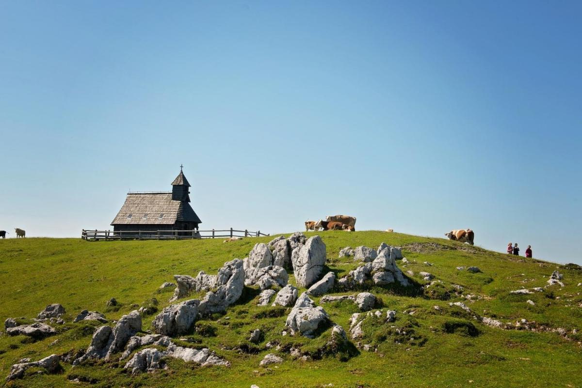 Вілла Koca Predilnica Velika Planina Камнишка Бистриця Екстер'єр фото