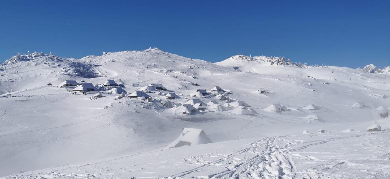 Вілла Koca Predilnica Velika Planina Камнишка Бистриця Екстер'єр фото