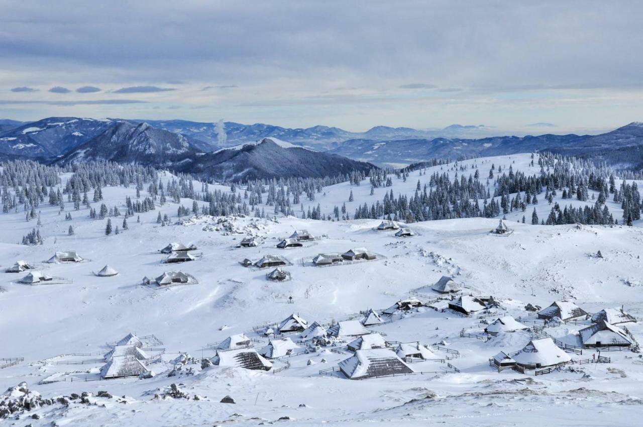 Вілла Koca Predilnica Velika Planina Камнишка Бистриця Екстер'єр фото