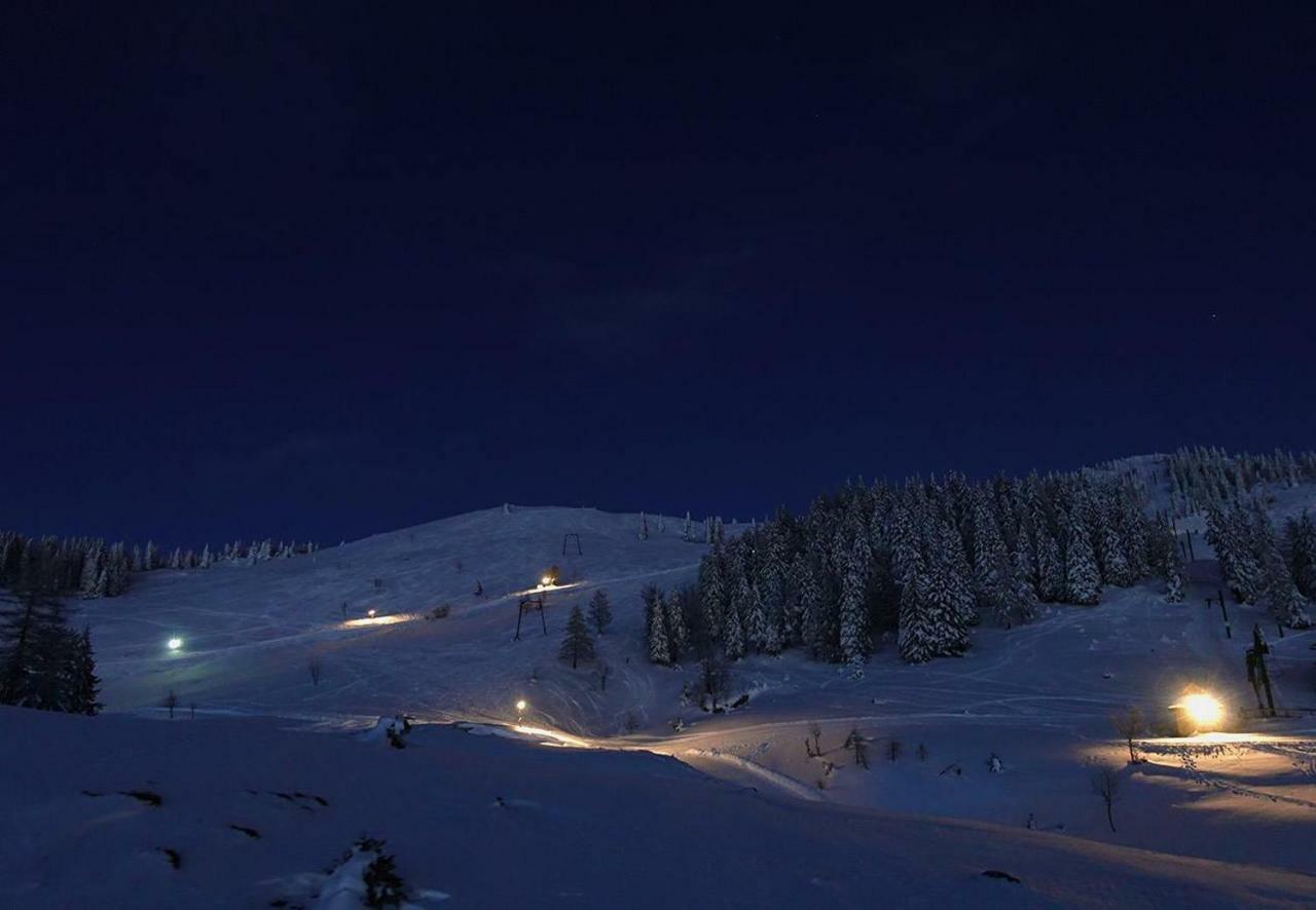 Вілла Koca Predilnica Velika Planina Камнишка Бистриця Екстер'єр фото