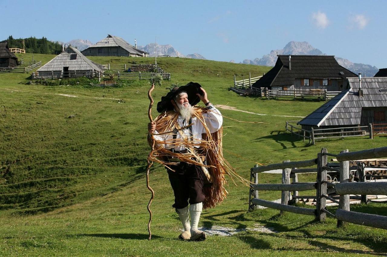 Вілла Koca Predilnica Velika Planina Камнишка Бистриця Екстер'єр фото