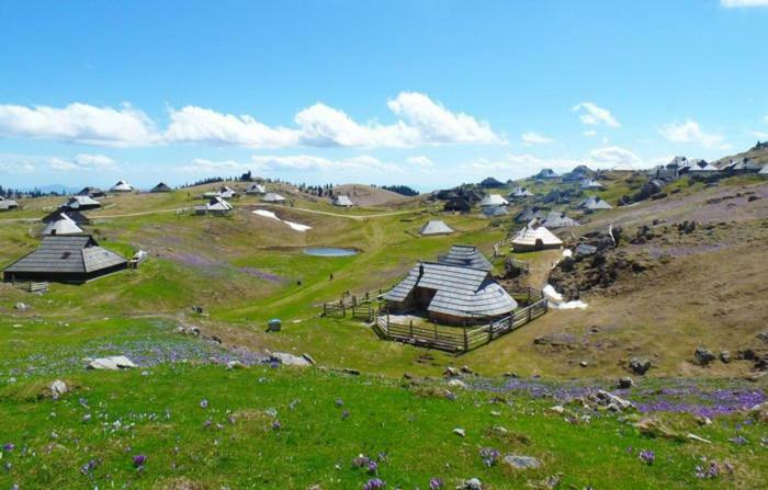 Вілла Koca Predilnica Velika Planina Камнишка Бистриця Екстер'єр фото