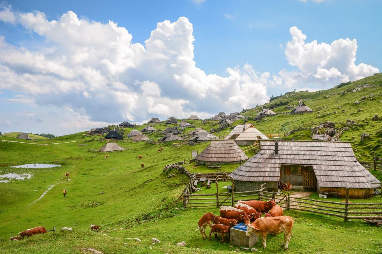Вілла Koca Predilnica Velika Planina Камнишка Бистриця Екстер'єр фото